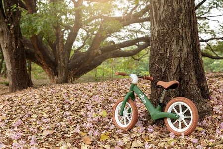 Mima Zoom Lite Rowerek Biegowy Czerwony / Camel