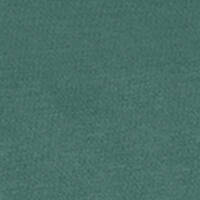 Carrello Bravo Plus 2024 Wózek Spacerowy Palm Green