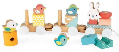 Janod Pure Pociąg z Klockami Do Ciągnięcia