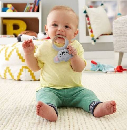 Fisher Price Gryzaczek z Plecionka GRR03 Różowy