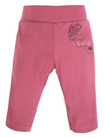 Leginsy Roses Róż 62