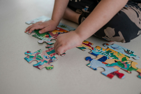 Mudpuppy Puzzle obserwacyjne Potężne dinozaury 64 elementy 4+