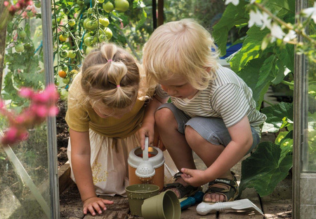 Dantoy BIO zestaw do sadzenia roślin