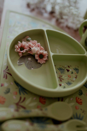 Sassi Talerz silikonowy z przyssawką Dinozaur