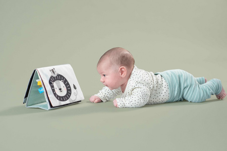 Taf Toys Książeczka Sensoryczna Savannah 2w1