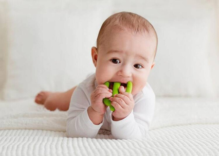 GiliGums Szczoteczka Gryzak Kaktus 3m+