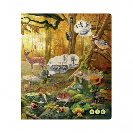 Albik Nasza Przyroda Książka 6+