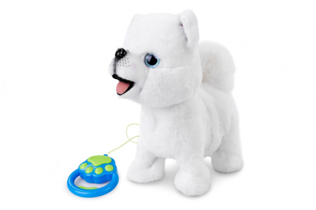 Artyk Piesek Chodzący na Smyczy