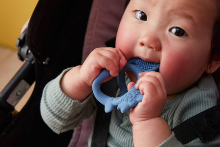 B.Box Gryzak Lisek Szałwia