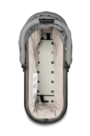 Mast M.Twin x Gondola Lion