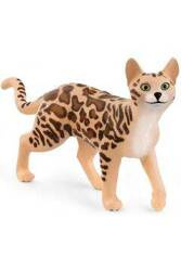 Schleich Kot Bengalski