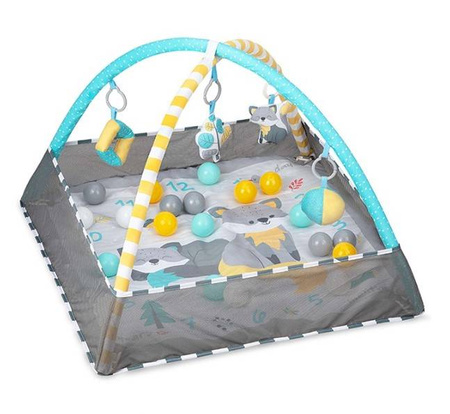 Momi Lammis Mata Edukacyjna