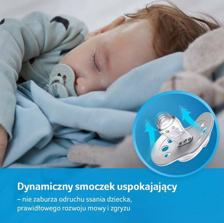 Lovi Zestaw Startowy Botanic Boy