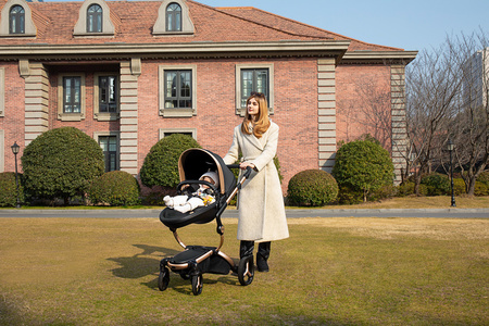 Mima Xari Max Wózek Spacerowy - Edycja Limitowana Dragon