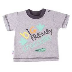 Eevi T-shirt Chłopięcy Sawanna Rozmiar 80 Szary Melanż