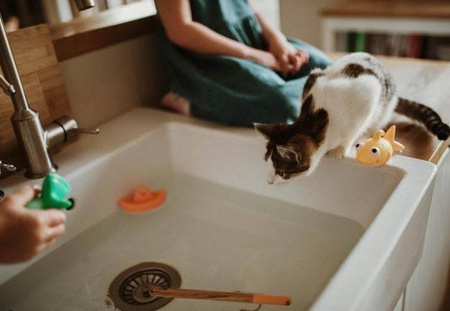 Janod Zestaw Do Wędkowania w Kąpieli 2+