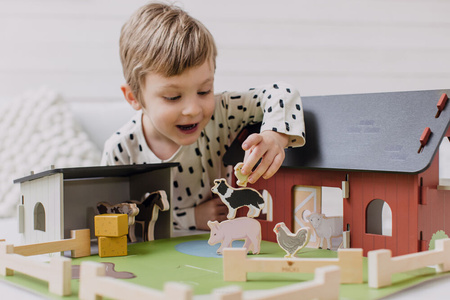 Micki Drewniana Farma