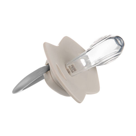 Canpol Babies Smoczek Silikonowy 18+m Sleepy Koala 2 szt. 22/660_blu Blue