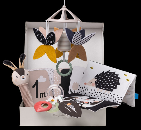 Taf Toys Zestaw Sensoryczny Czarno-Biały dla Noworodków