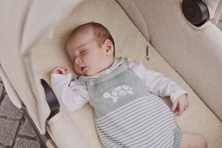 Chicco Gran Comfort Gondola do Wózka Lavender Glaze