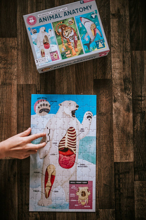 Mudpuppy Puzzle edukacyjne 3w1 Anatomia zwierząt 100 elementów 6+