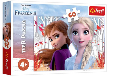 Trefl 60 Zaczarowany Świat Anny i Elsy/Frozen 17333