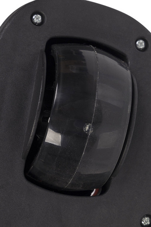 Colibro Run Hulajnoga Dziecięca Jungle