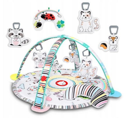 Lionelo Paula Plus Mata Edukacyjna