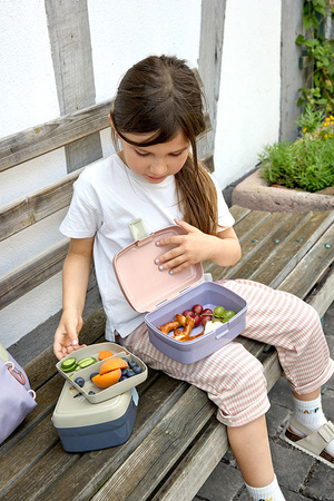 Lassig Lunchbox z wkładką Tiny Outdoor Rainbow