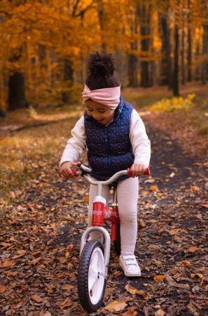 Toyz Brass Rowerek Biegowy Metalowy Red