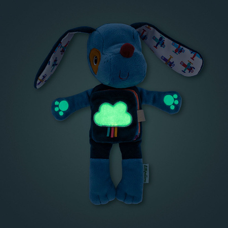 Lilliputiens Przytulanka z książeczką Piesek Jules 6 m+