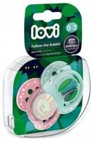 Follow The Rabbit Girl