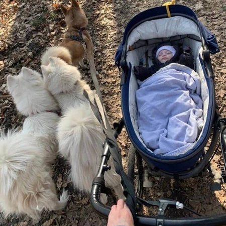 X-Lander X-Run Wózek Głęboko-Spacerowy z Torbą Evening Grey