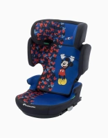 Fun Mickey