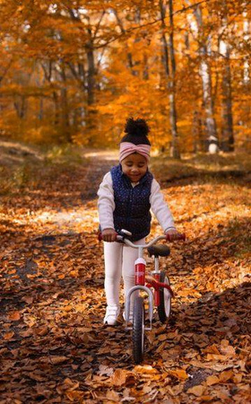 Toyz Brass Rowerek Biegowy Metalowy Red