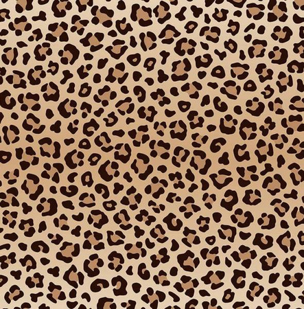 Scootandride Highwaykick 2 Lifestyle Hulajnoga Trójkołowa Balansowa z Zamykanym Schowkiem 2+ Leopard