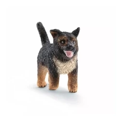 Schleisch Rasa Owczarek Niemiecki Szczenię