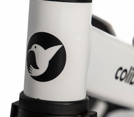 Colibro Tremix Rowerek Dziecięcy 4w1 Blank