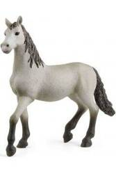 Schleich Hiszpański Młody Koń 