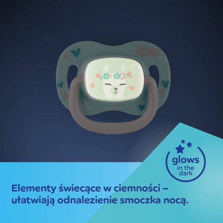 Canpol Babies Smoczek Silikonowy Symetryczny 18m+ Exotic Koala 34/922_koal