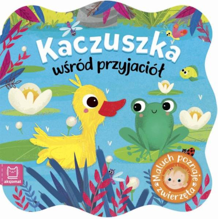 Kaczuszka wśród przyjaciół. Maluch poznaje zwierzęta.