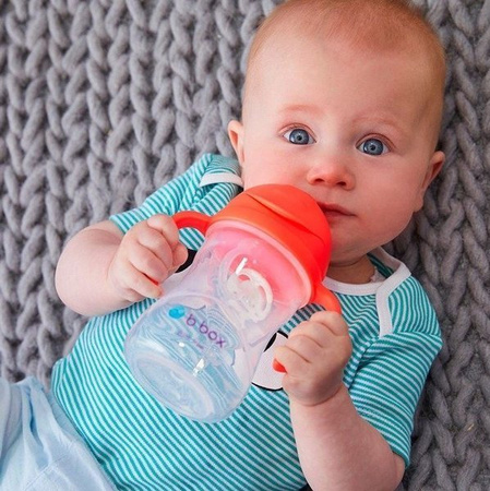 B.Box Innowacyjny Bidon Ze Słomką winogronowy