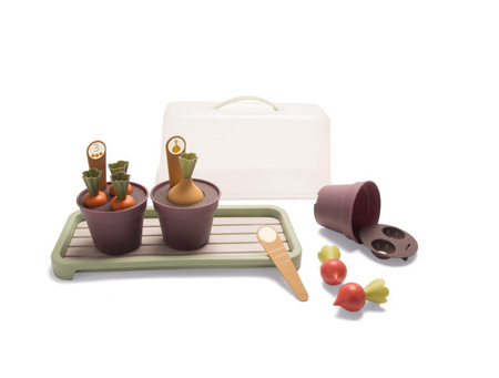 Dantoy GREEN GARDEN Mini szklarnia z roślinami