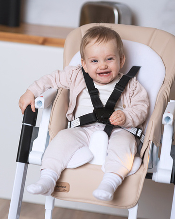 Carrello Apricus Krzesełko Do Karmienia Pale Terracota