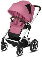 Srebrna Rama Magnolia Pink