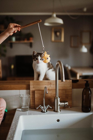 USZKODZONE OPAKOWANIE Zestaw do wędkowania w kąpieli 2+, Janod