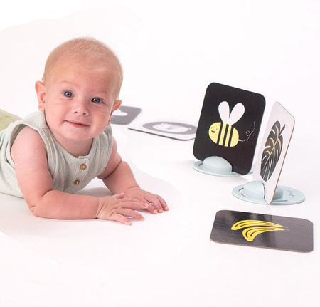 Taf Toys Ilustrowane Karty Savannah z Lusterkiem