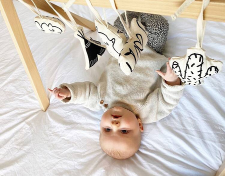 Childhome Zestaw zabawek 5 szt. Canvas do Tipi Play Gym