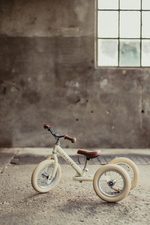 Trybike Pierwszy Rowerek Trójkołowy Dziecięcy Biegowy 2w1 Kremowy Matowy