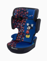 Fun Mickey